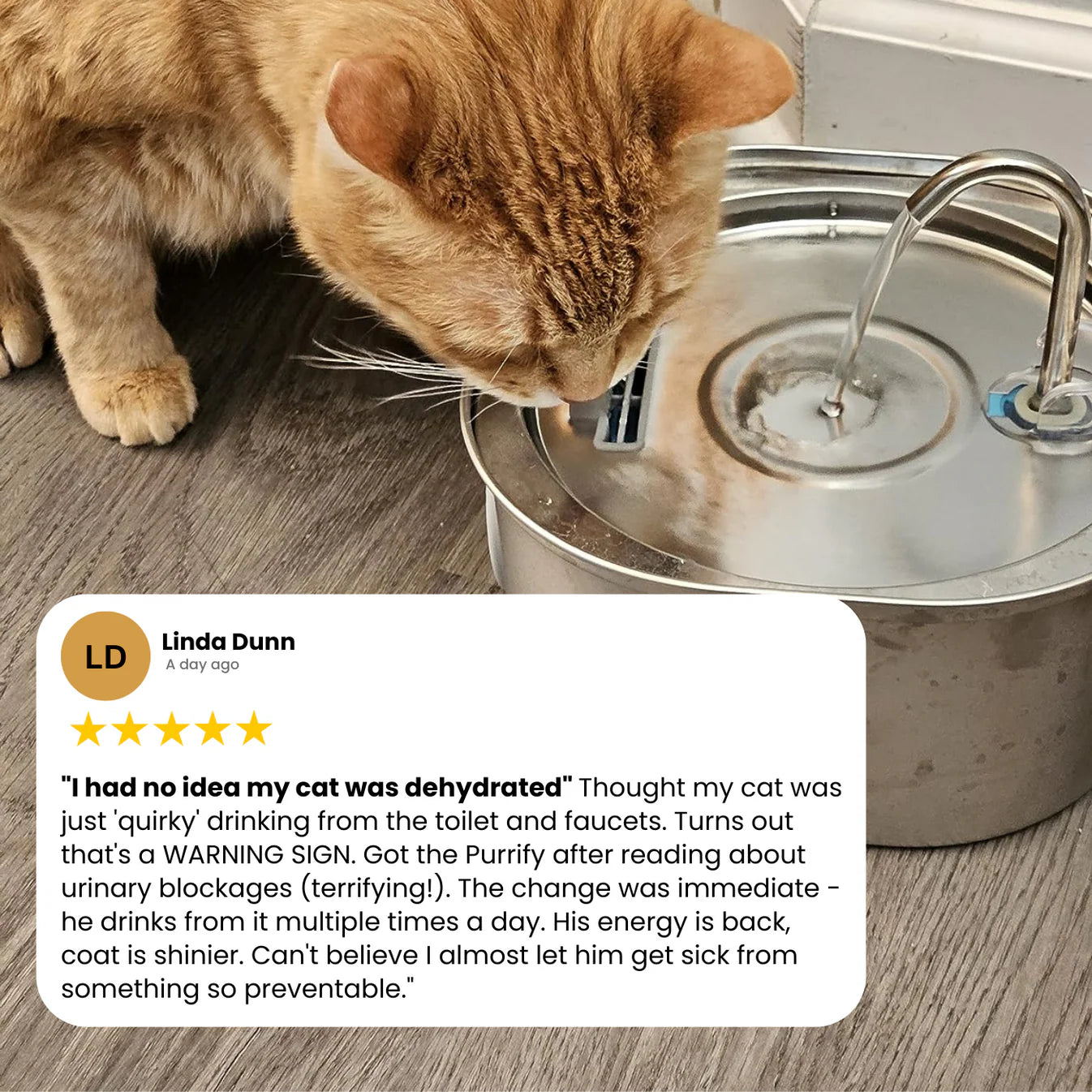 PuraFlow - Stainless Steel Cat Water Fountain