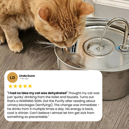 PuraFlow - Stainless Steel Cat Water Fountain